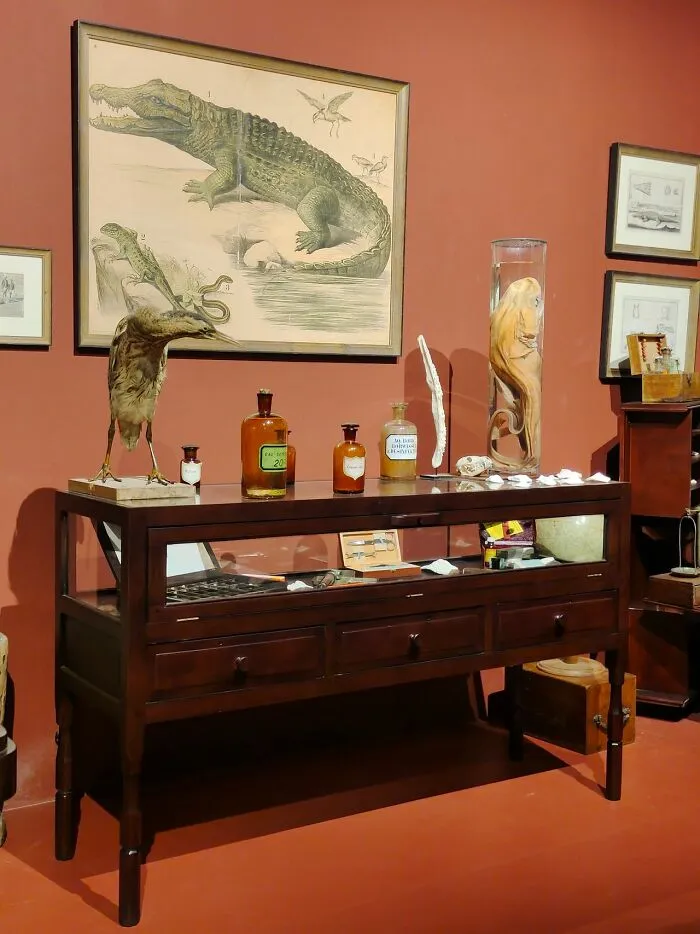 48 Museum Employees Share The Coolest Facts And Experiences From Their Career
