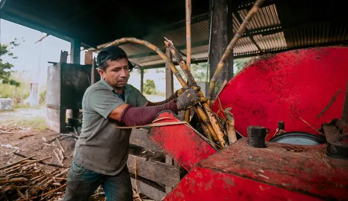 20 Cosas que los camareros escucharon en el trabajo y desearían poder olvidar