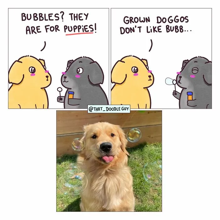 This Artist Turns Viral Animal Photos Into Hilarious Comics, And Here Are The 70 Best Ones