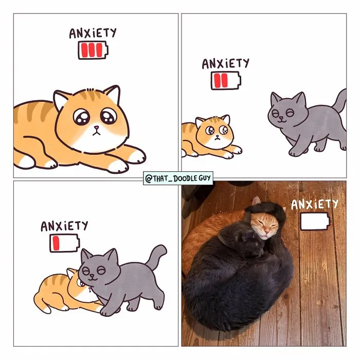 This Artist Turns Viral Animal Photos Into Hilarious Comics, And Here Are The 70 Best Ones