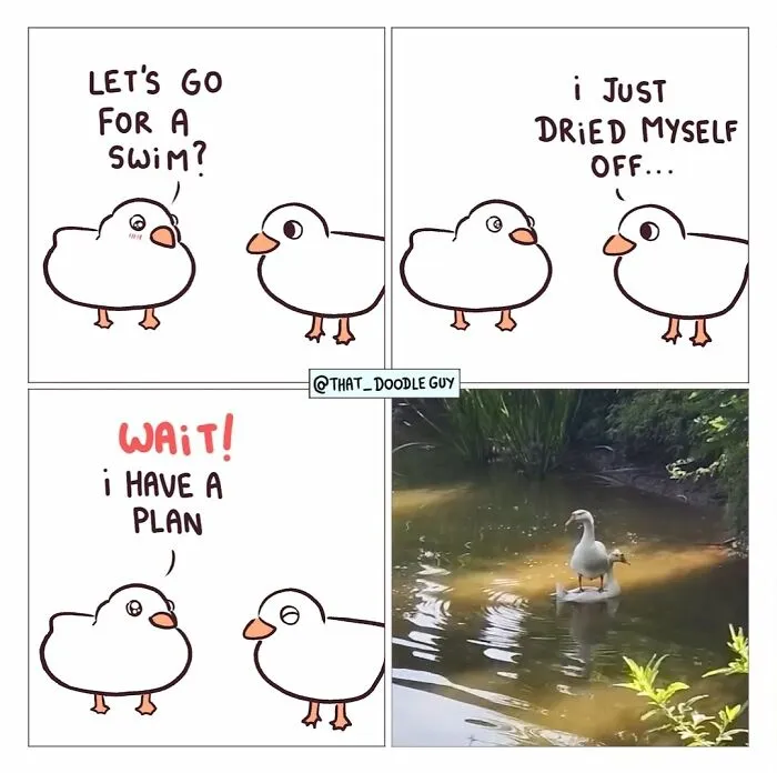This Artist Turns Viral Animal Photos Into Hilarious Comics, And Here Are The 70 Best Ones