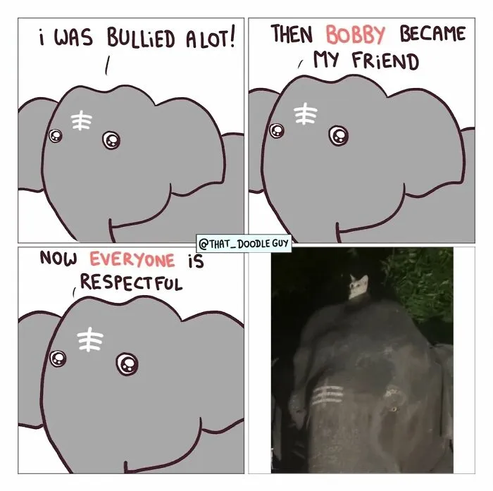 This Artist Turns Viral Animal Photos Into Hilarious Comics, And Here Are The 70 Best Ones