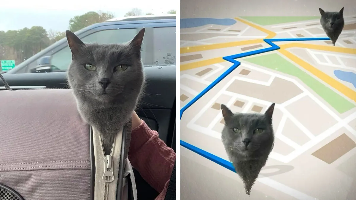 If You’re Having A Rough Day, These 66 Memes And Comments Might Help You Bring Your Smile Back