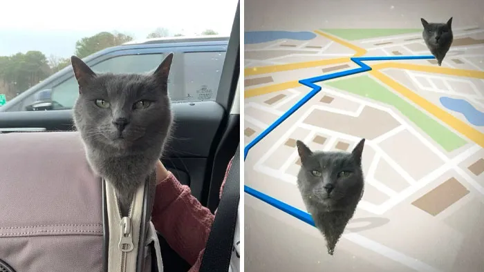 If You’re Having A Rough Day, These 66 Memes And Comments Might Help You Bring Your Smile Back