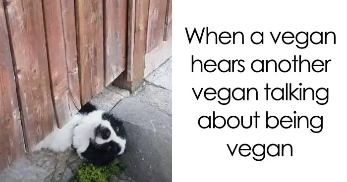 Don’t Choke On Your Salad While You Scroll These 47 Hilarious Vegan Memes