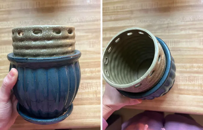 Two views of a person holding a blue and beige ceramic planter, showcasing things people need help identifying or fixing.