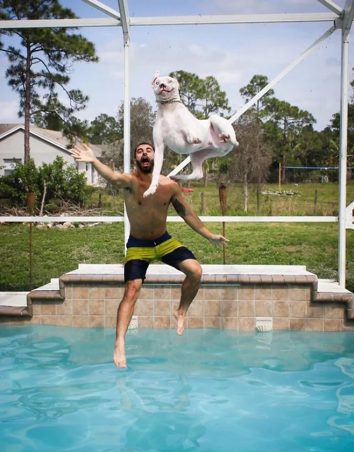 35 Fotos tomadas justo momentos antes de que algo saliera mal
