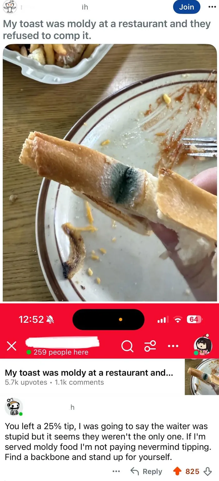 A close-up of moldy toast served at a restaurant, sparking a discussion about tipping culture when service fails.