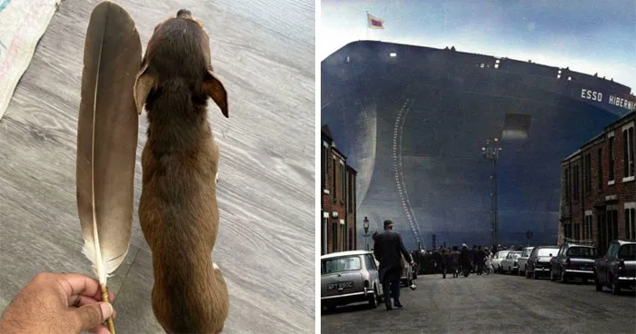 86 Photos That Reveal The Astonishing Scale Of Everyday And Extraordinary Things