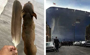 86 Photos That Reveal The Astonishing Scale Of Everyday And Extraordinary Things