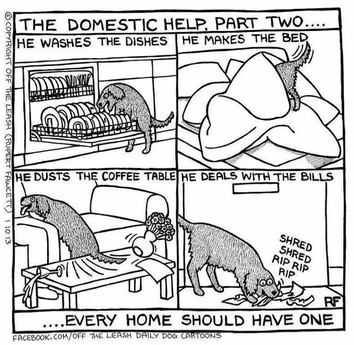 If You’re A Dog Owner, These 25 New “Off The Leash” Cartoons Might Totally Hit Home