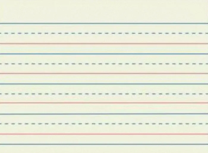 Elementary School Paper