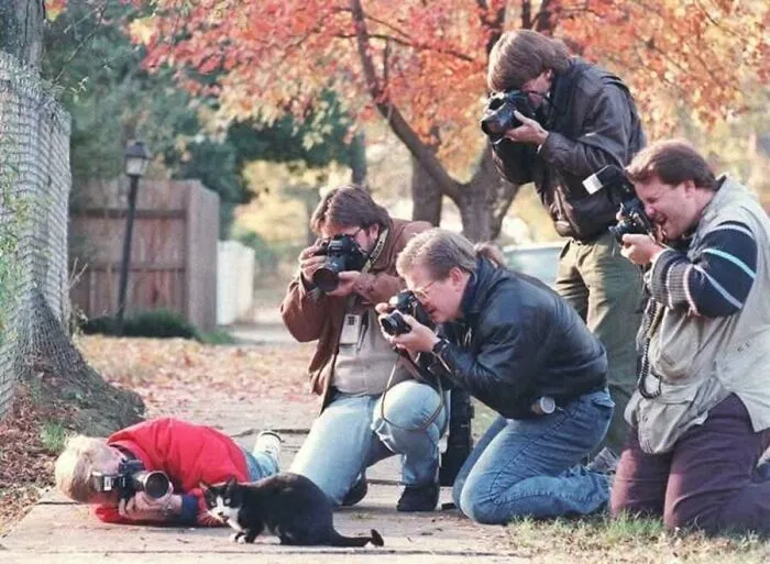 29 Historic Photos Shared By This Page Where Animals Unexpectedly Became The Stars Of The Shot