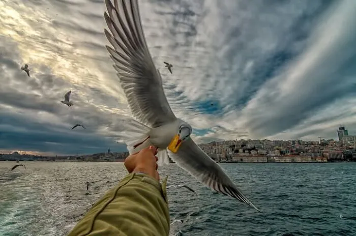This Photographer Captures People, Animals, And Places In Stunning Light And Unique Angles (49 Pics)