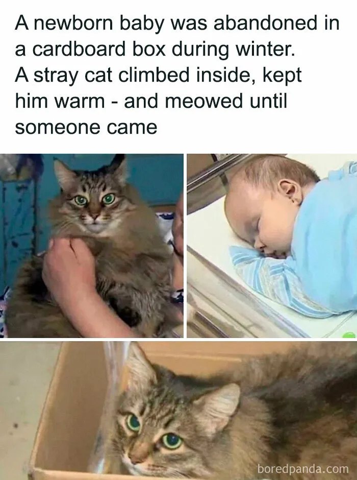 👏👏
