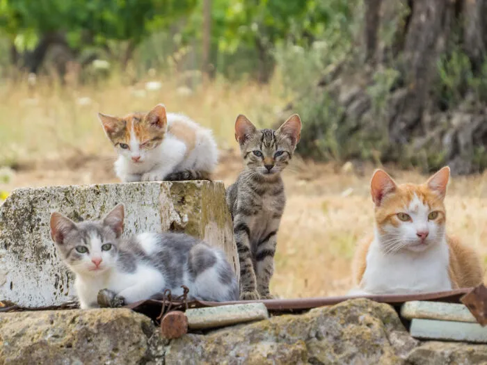 56 Disturbing Things People Spotted In Someone Else’s Home That They Were Not Supposed To See