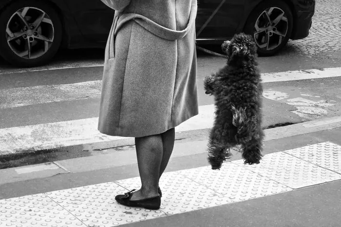 39 Perfectly Timed Street Photos By Gaspard Claude That Reveal The Paris Most People Never See