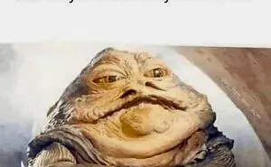 78 Animal Memes That Are Somehow Both Ridiculous And Extremely Wholesome
