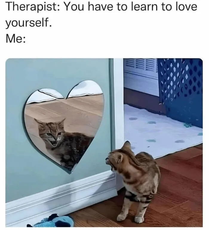 78 Animal Memes That Are Somehow Both Ridiculous And Extremely Wholesome