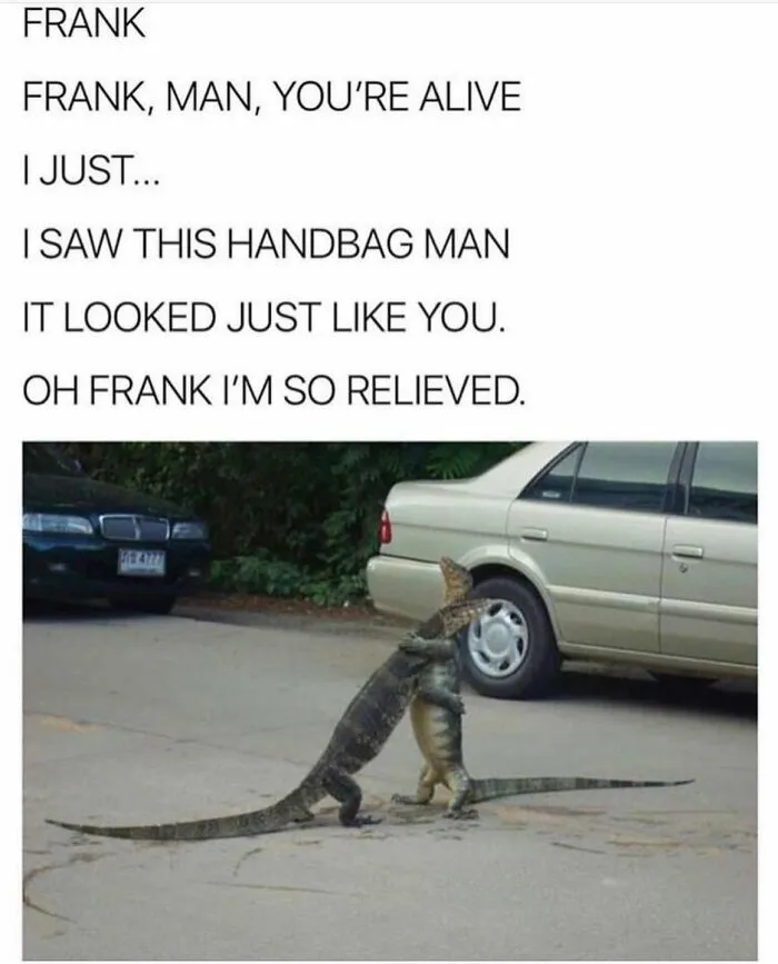78 Animal Memes That Are Somehow Both Ridiculous And Extremely Wholesome