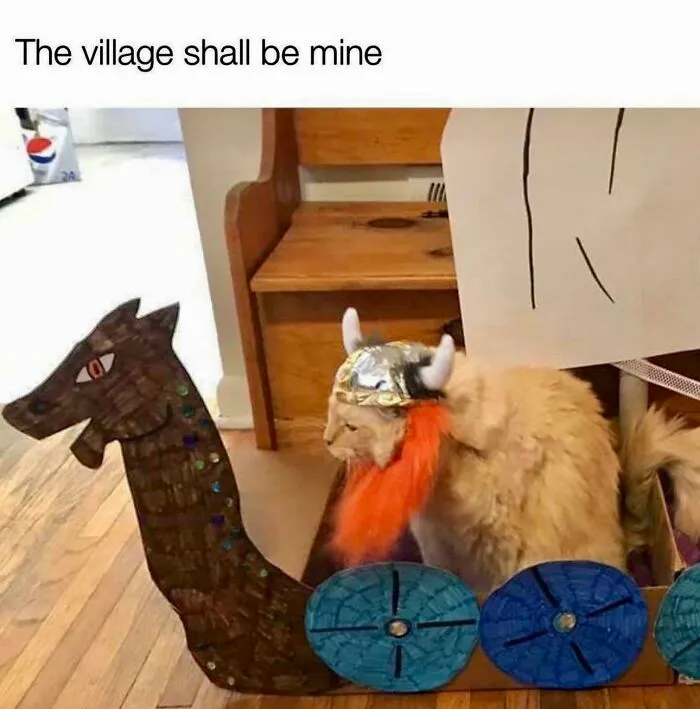 78 Memes For Anyone Who Stops Scrolling The Second An Animal Shows Up