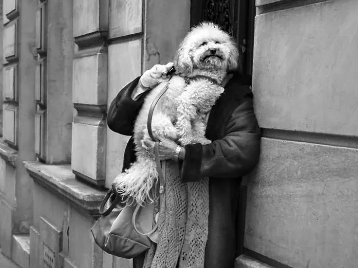 39 Perfectly Timed Street Photos By Gaspard Claude That Reveal The Paris Most People Never See