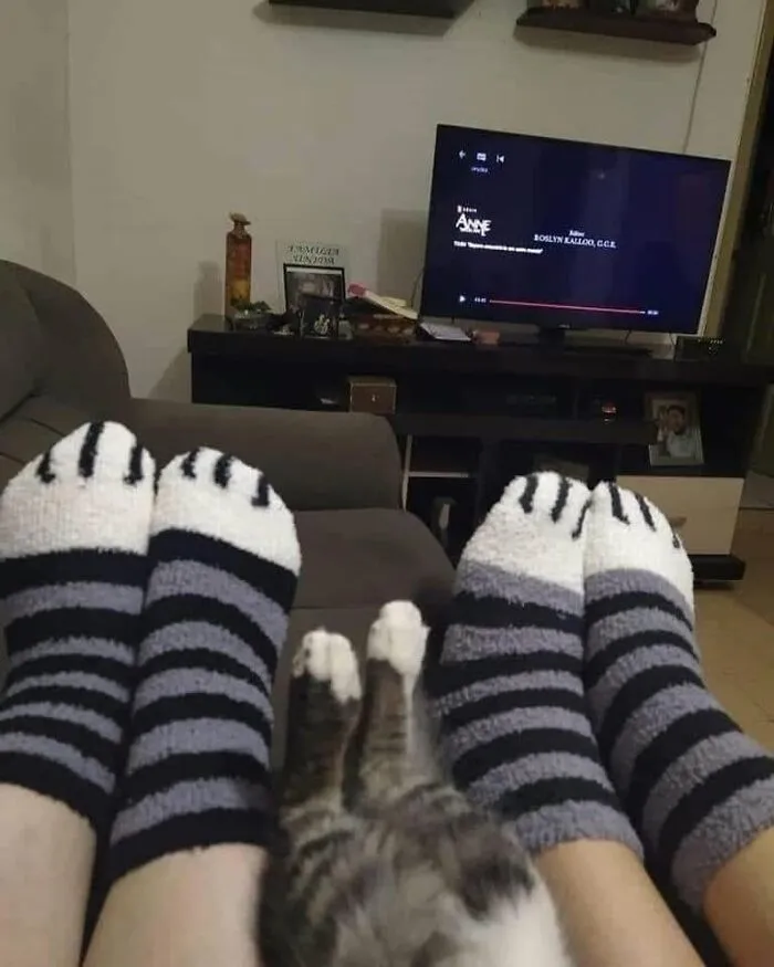 46 Pics Of Cats Being Weird, Dramatic, And Completely Ridiculous, Shared By This Page