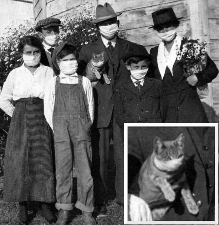 29 Historic Photos Shared By This Page Where Animals Unexpectedly Became The Stars Of The Shot