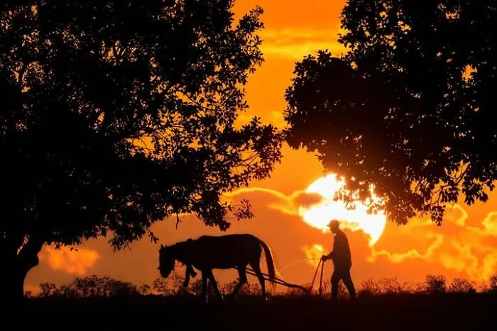 This Photographer Captures People, Animals, And Places In Stunning Light And Unique Angles (49 Pics)