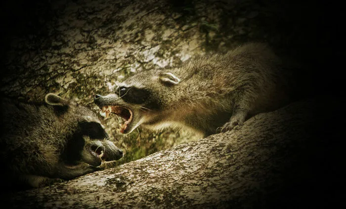 48 Chilling Camping Stories That Sound Like Something Straight Out Of A Horror Movie