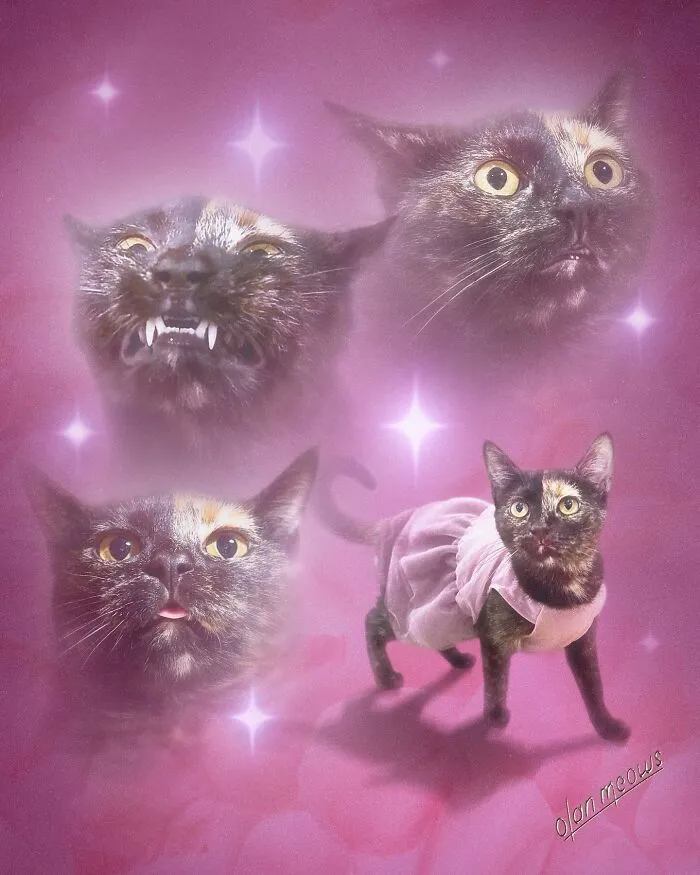 These Artists’ 49 Pet Portraits Capture Each Animal’s Personality In Peak ’80s Style