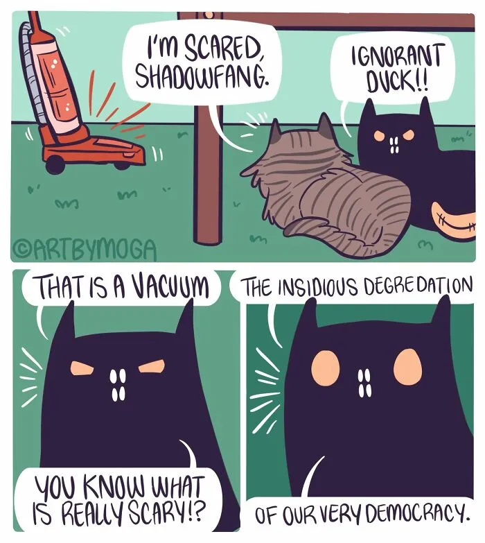 Meet Shadowfang, The Dramatic Black Cat That Inspired Med Adams’ 28 Relatable Comics