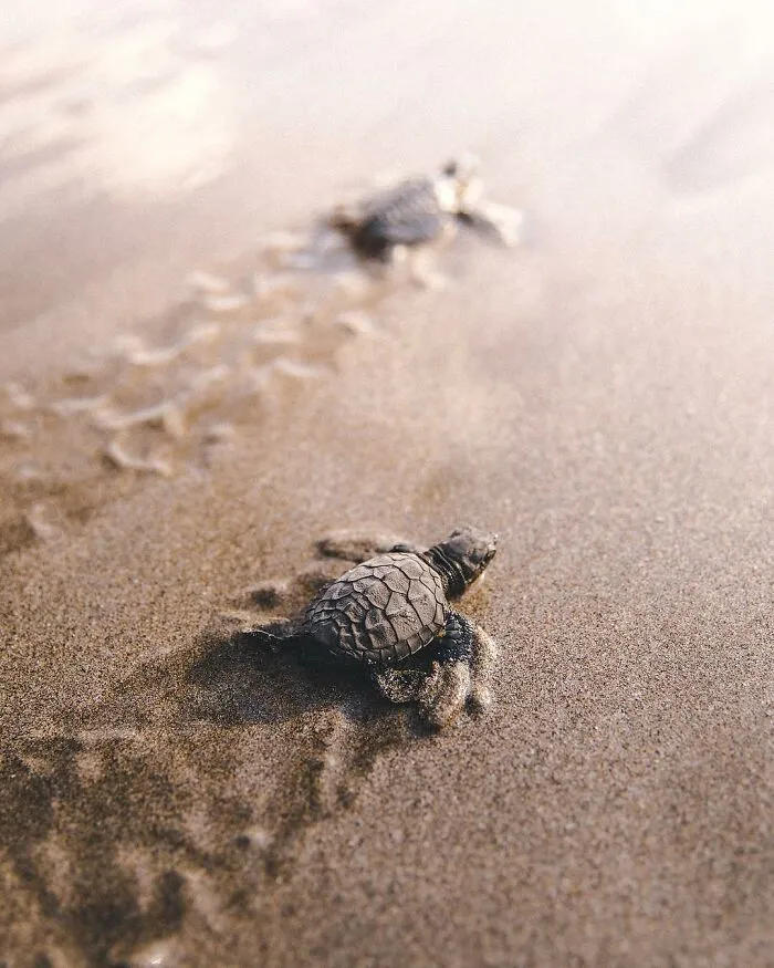 106 Times Nature Decided To Show Off And People Were Lucky Enough To Capture It