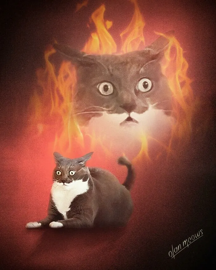 These Artists’ 49 Pet Portraits Capture Each Animal’s Personality In Peak ’80s Style