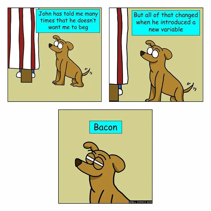 35 Funny “Shell Comics” That Find The Absurd Side Of Everyday Life