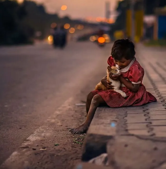 23 Street Cat Photos That Might Melt Your Heart By Guru Charan (New Pics)