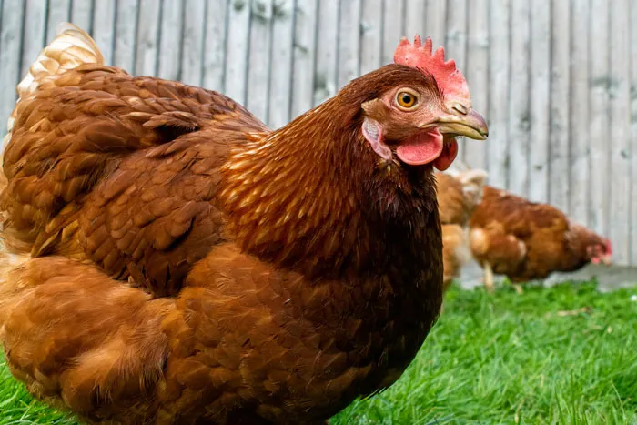 82 Ridiculous House Rules That Somehow Became Sacred Law In These Families