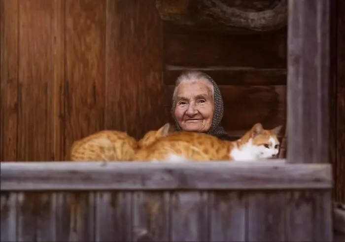 40 Street Photos That Prove You Never Know What’s Around The Corner