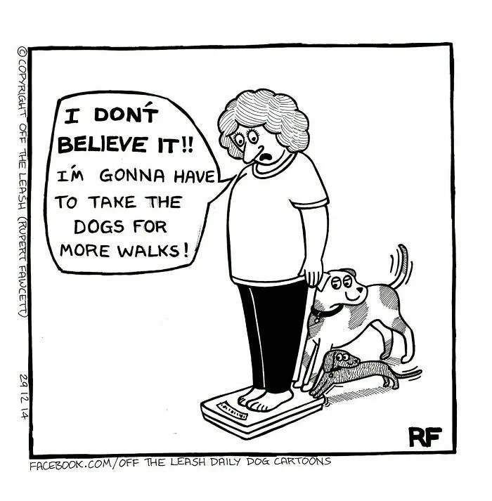 If You’re A Dog Owner, These 25 New “Off The Leash” Cartoons Might Totally Hit Home