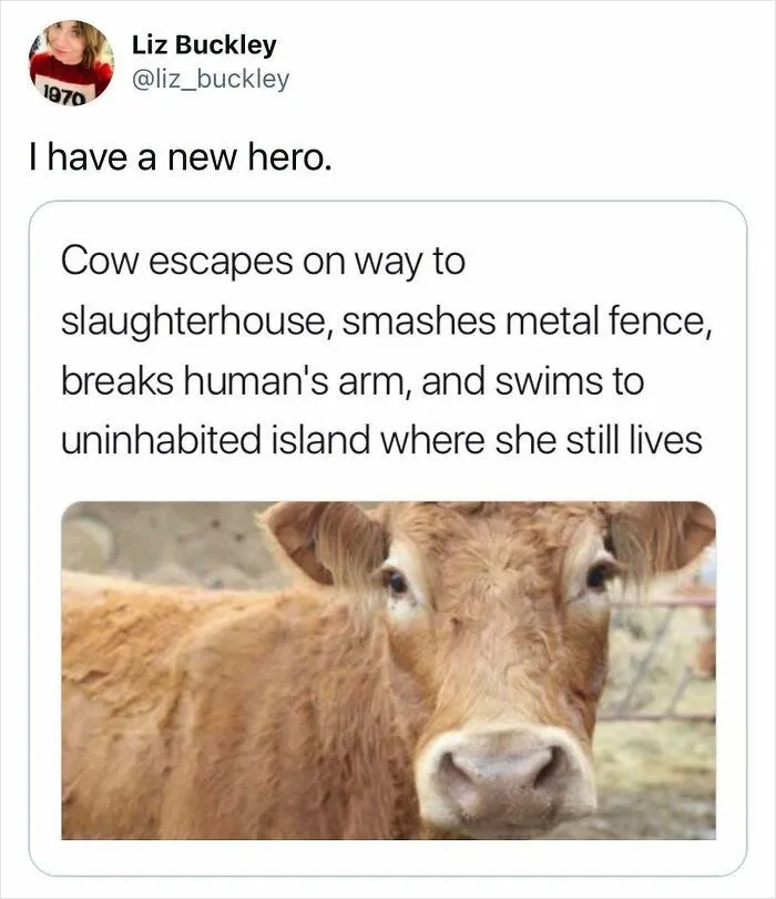 I Have A New Hero 😁