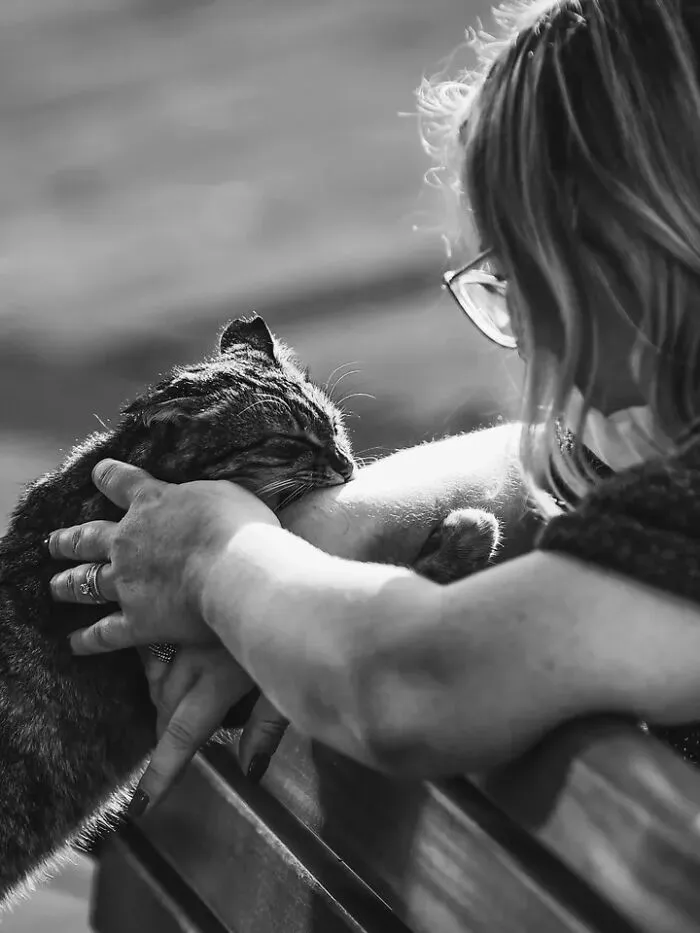 30 Perfectly Timed Street Photos By Mehmet Bayram That Turn Everyday Moments Into Art