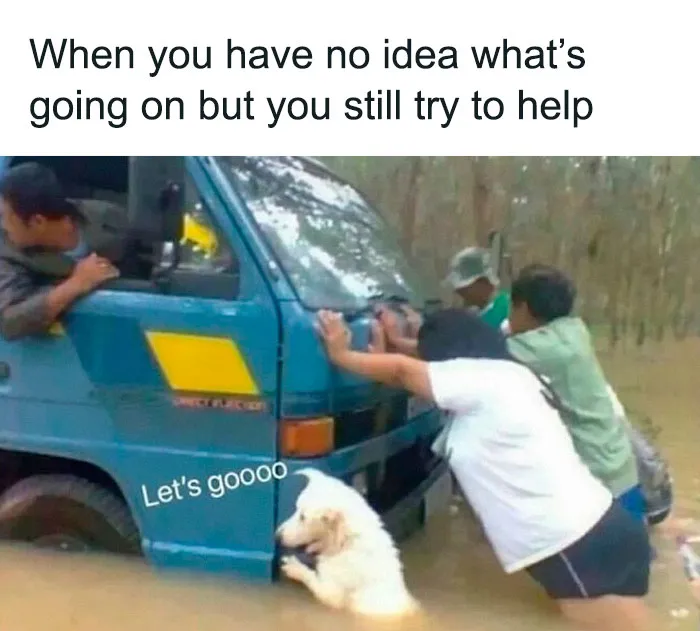 71 Funny Memes For Anyone Fluent In Sarcasm