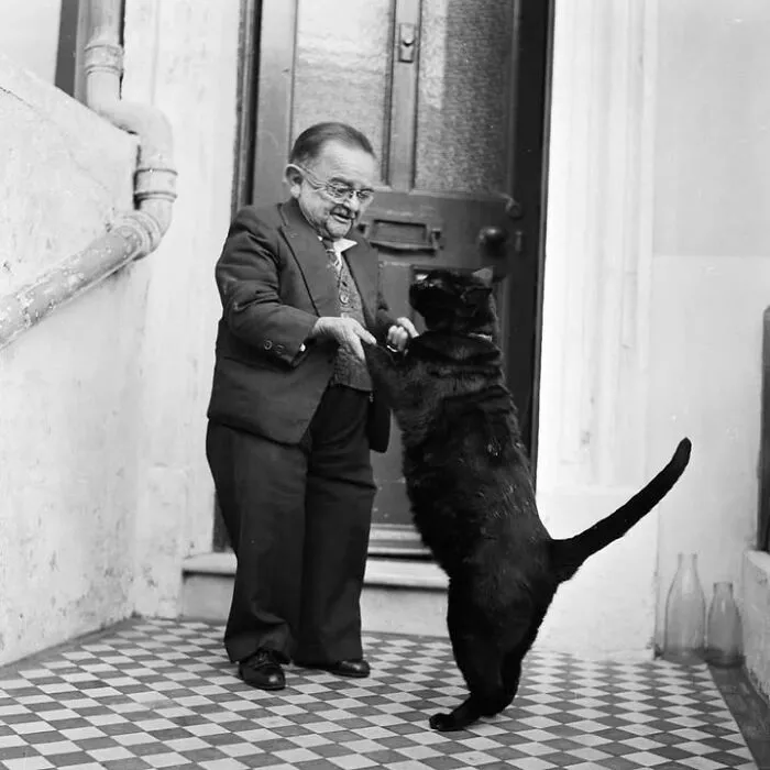 29 Historic Photos Shared By This Page Where Animals Unexpectedly Became The Stars Of The Shot