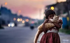23 Street Cat Photos That Might Melt Your Heart By Guru Charan (New Pics)