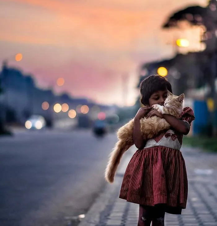 23 Street Cat Photos That Might Melt Your Heart By Guru Charan (New Pics)