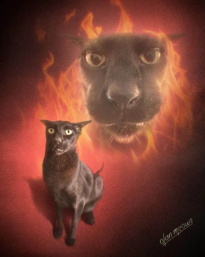 These Artists’ 49 Pet Portraits Capture Each Animal’s Personality In Peak ’80s Style