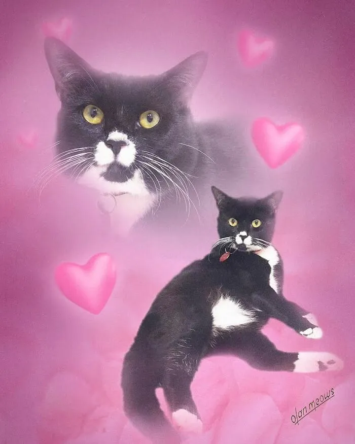 These Artists’ 49 Pet Portraits Capture Each Animal’s Personality In Peak ’80s Style