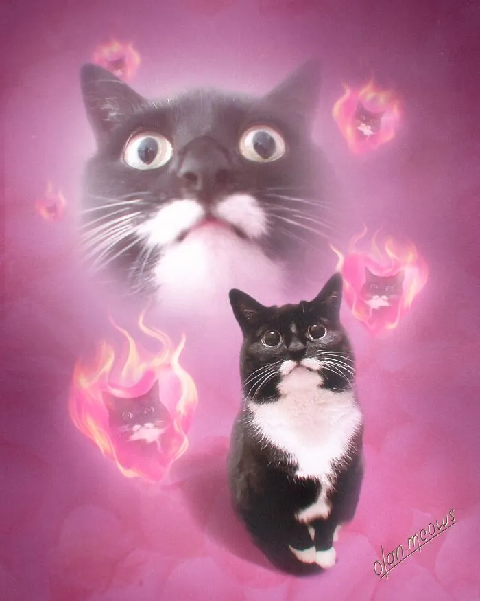 These Artists’ 49 Pet Portraits Capture Each Animal’s Personality In Peak ’80s Style