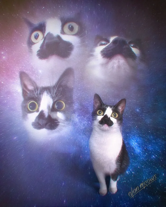 These Artists’ 49 Pet Portraits Capture Each Animal’s Personality In Peak ’80s Style