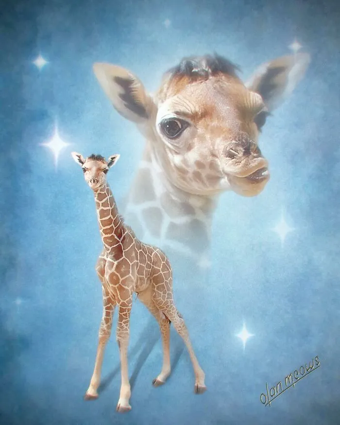 These Artists’ 49 Pet Portraits Capture Each Animal’s Personality In Peak ’80s Style